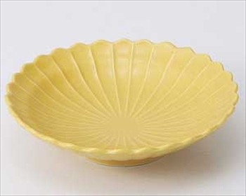 黄磁菊型５.３皿